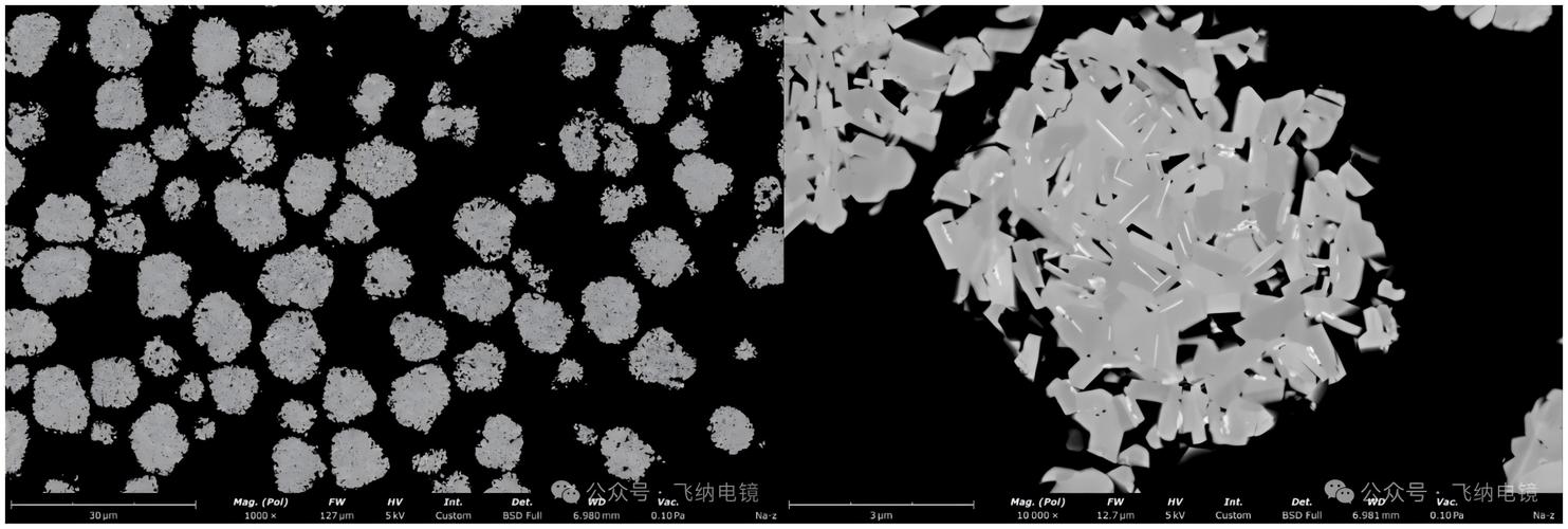 钠离子电池正极材料与锂离子电池材料的扫描电镜对比研究